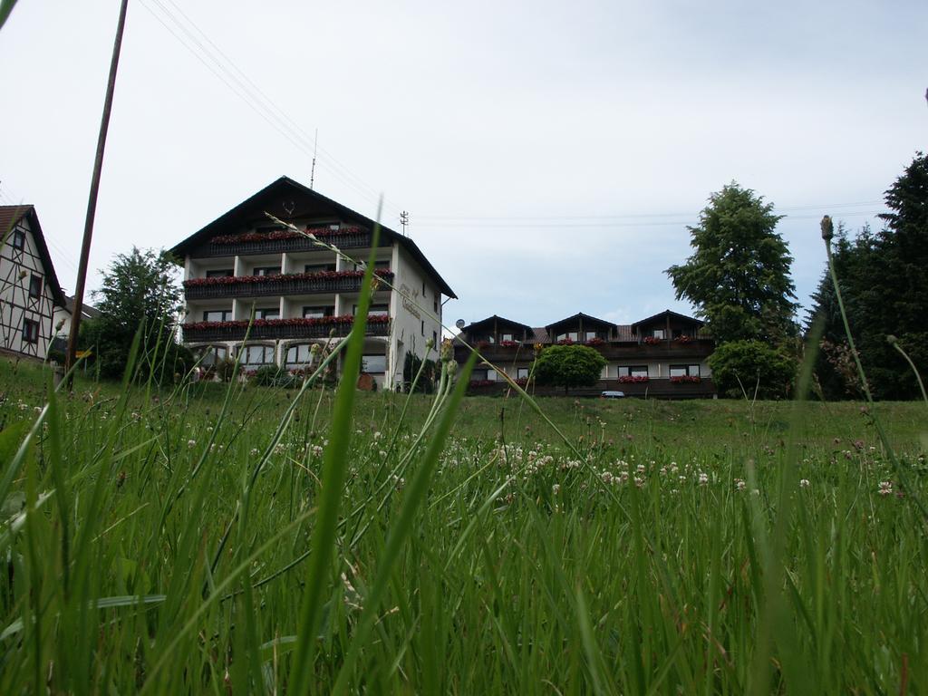 Hotel Landgasthof Waldfrieden Wildensee Exterior foto